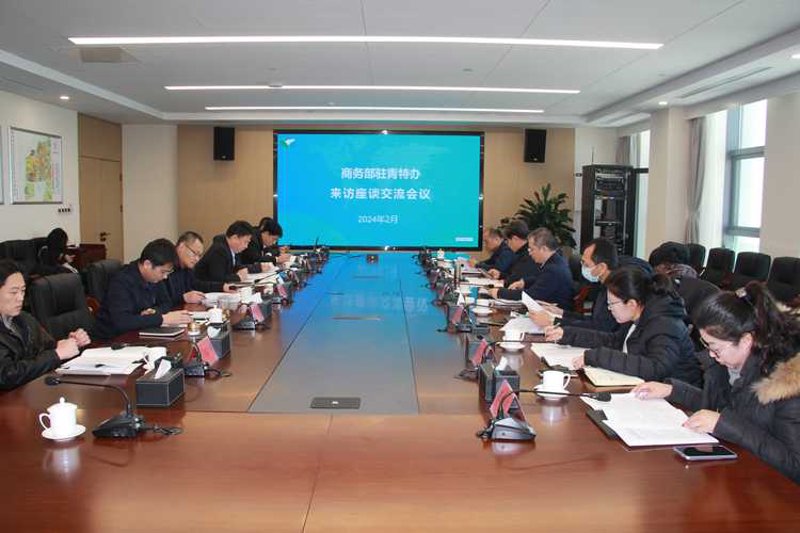 商务调查服务:挖掘青岛市场的秘密武器